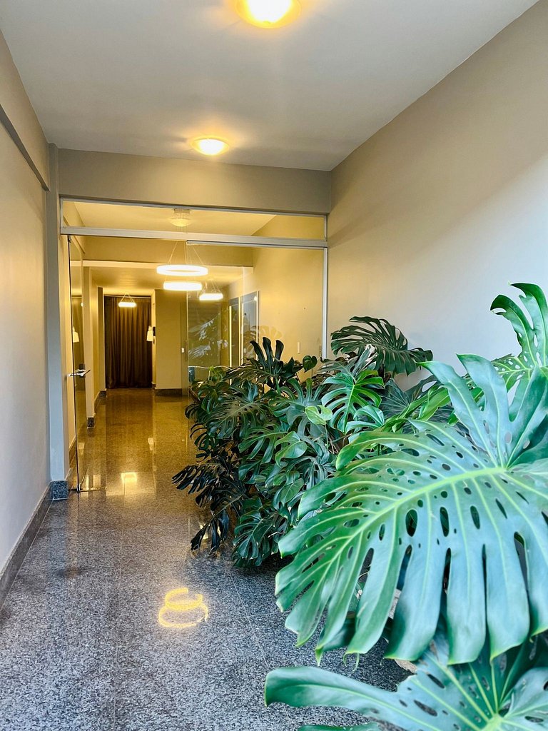 Locking´s San Judas IV